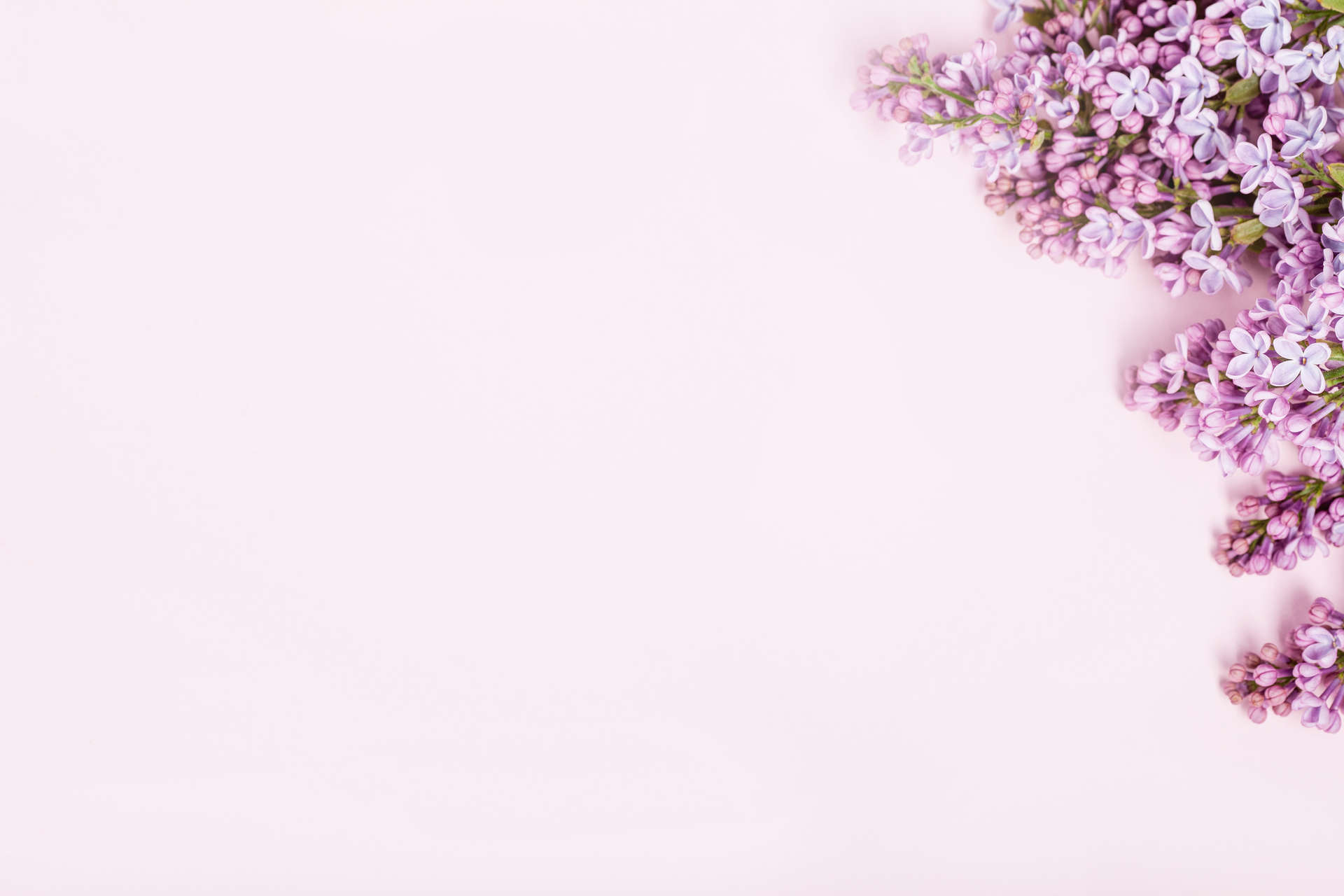 Header-2560